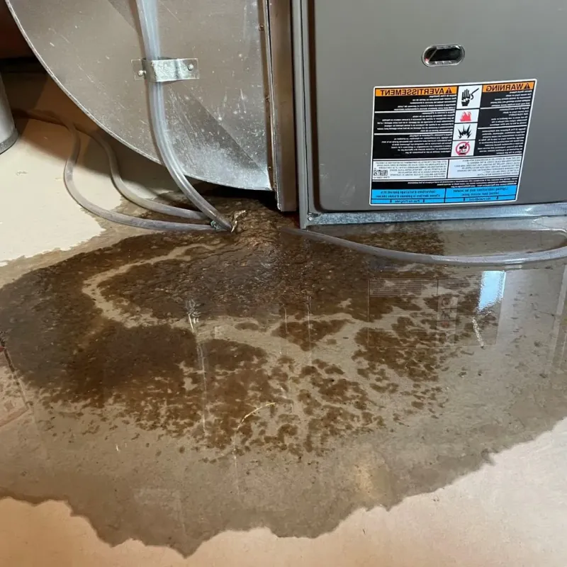 Pipe Burst and Leak Restoration in Red Boiling Springs, TN