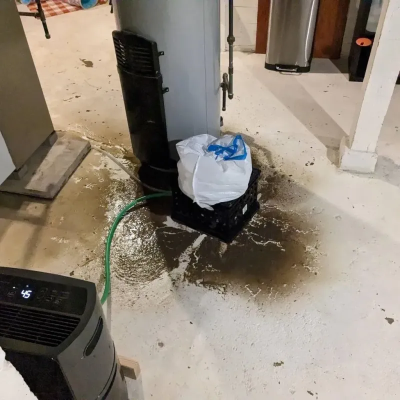 Sewage Backup Cleanup Service in Red Boiling Springs, TN